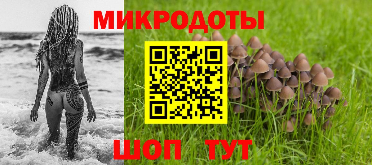 Аша  Псилоцибиновые грибы MAGIC MUSHROOMS  Вход с VPN 